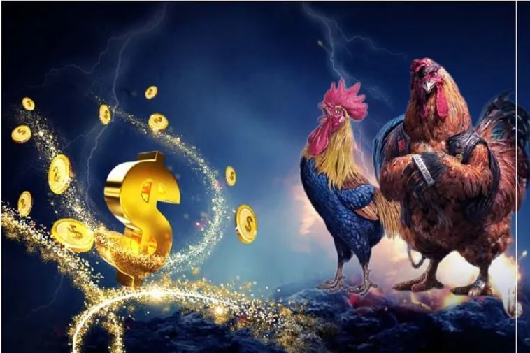 Hướng Dẫn Chơi Đá Gà WS168 Tại JBO Hiệu Quả Và Chuyên Nghiệp