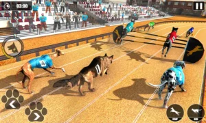 Hướng Dẫn Chơi Game Đua Chó Nhanh Tại JBO Hiệu Quả Nhất