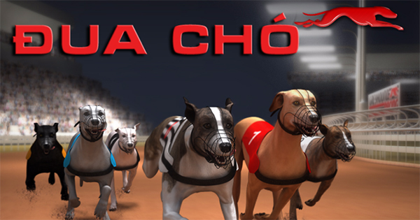 Hướng Dẫn Chơi Game Đua Chó Nhanh Tại JBO Hiệu Quả Nhất